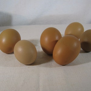 May include: A collection of seven brown eggs of varying shades, from light tan to deep brown, are arranged on a white, textured surface. The eggs are smooth and oval-shaped, suggesting a farm-fresh theme.