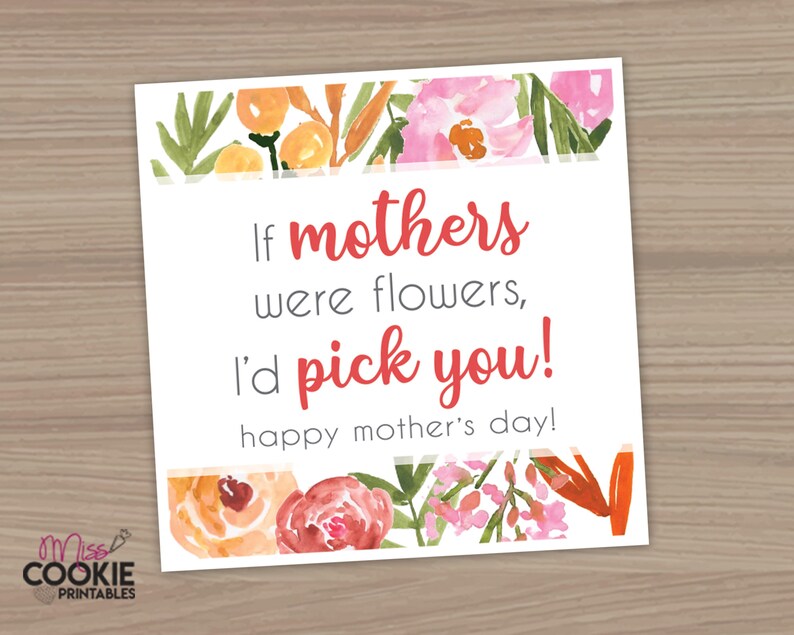 May include: A white card with a floral border and the text "If mothers were flowers, I'd pick you! Happy Mother's Day!"