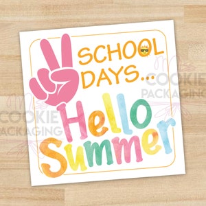 Peace Out School Days... Hello Summer Etichetta per biscotti quadrati da 2 pollici, Etichetta per biscotti di apprezzamento per gli insegnanti, Etichetta per biscotti per insegnanti, Confezione per biscotti