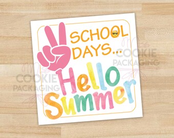 Peace Out School Days... Hallo zomer 2 inch vierkante Cookie Tag, Leraar Waardering Cookie Tag, Leraar Cookie Gift Tag, Cookie Verpakking
