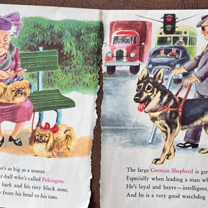 Vintage Children's Book Page, Pekingese Picture, German Shepherd Picture, Retro Dog Drawings, Retro Scrapbooking, Epherema, Journal, Kitschy