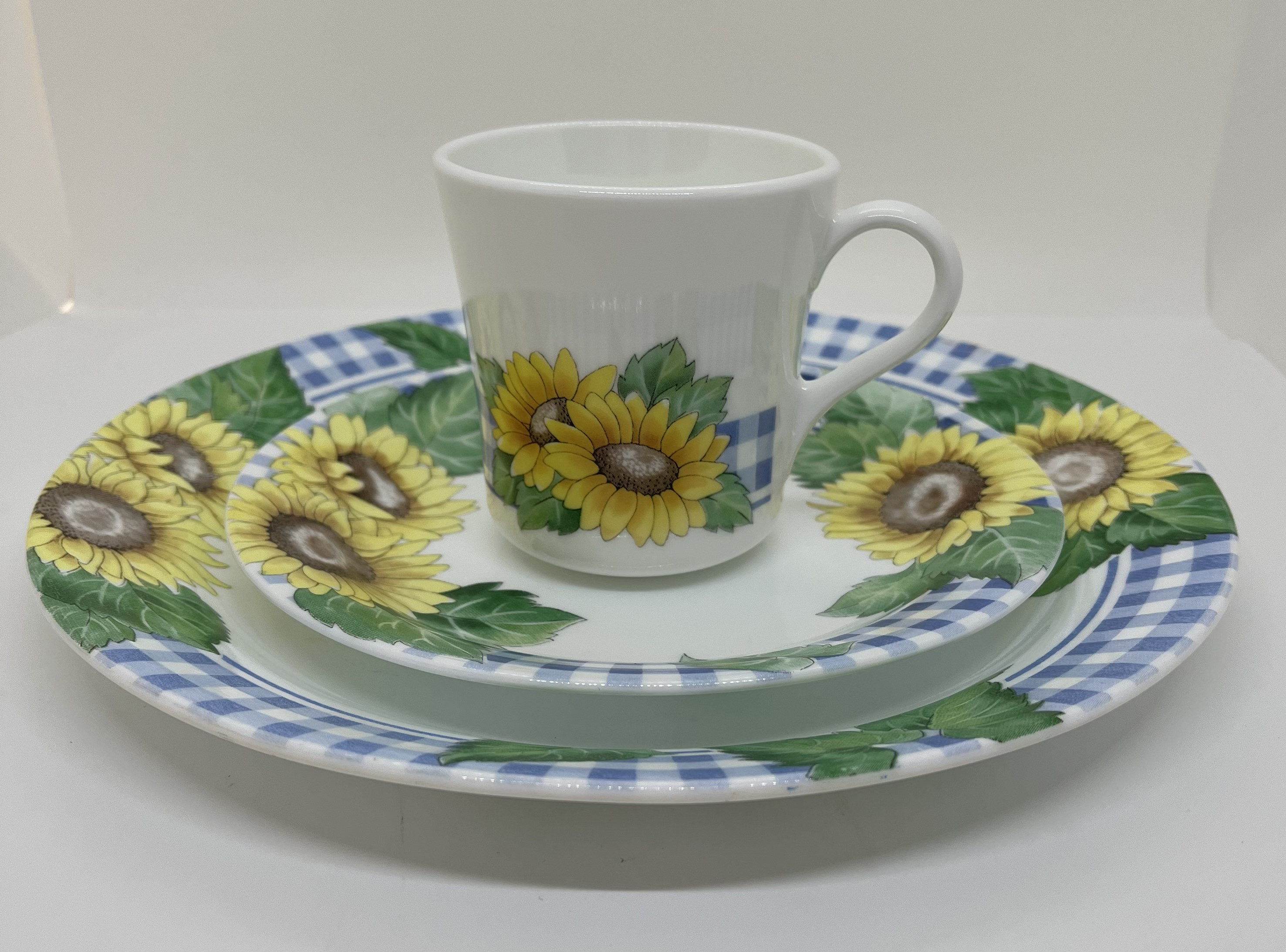 Corelle sunsations top