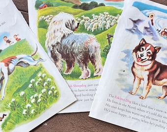 Vintage Book Page, Whippet Picture, Canadian Eskimo Dog Picture, English Sheepdog Picture, Retro Scrapbooking, Epherema, Journal, Kitschy