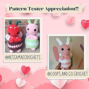 Puede incluir: Dos juguetes de peluche tejidos a crochet en forma de fresa y mariposa. La fresa es roja con un fondo marr&oacute;n parecido al chocolate y hojas verdes. La mariposa es rosa con rayas verdes y blancas. El pie de foto dice "Pattern Tester Appreciation!!" e incluye los nombres de usuario "@nessamaecrochets" y "@loops.and.co.crochet".
