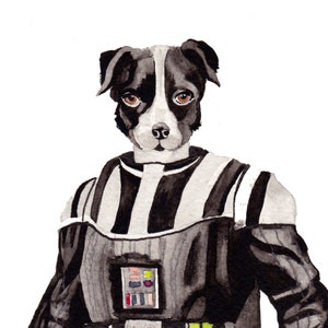 Hund im Darth Vader Kostüm Tier Kunstdruck Bild 2