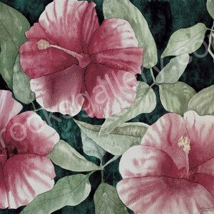 Fine Art Matted Print - Hibiscus Bloom von Bonnie Brooks