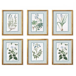 Set di 6 stampe botaniche blu vintage, stampe murali floreali a righe Grandmillennial, download digitale English Country Cottagecore