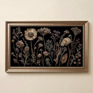 Getrocknete botanische Rahmen TV Kunst, schwarze Hintergrund Blume Samsung Rahmen TV Download, schwermütige gepresste Wildblumen TV Kunst