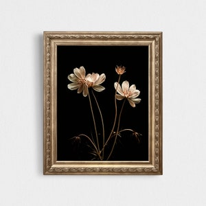 Dark Botanical Print, spring Moody floral wall art, summerwildflowers digital download image 4