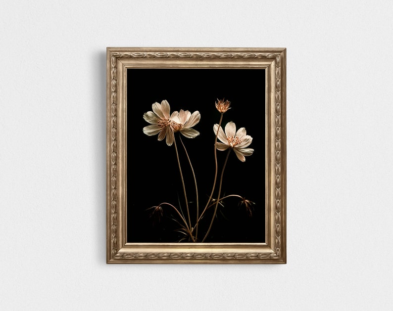 Dark Botanical Print, spring Moody floral wall art, summerwildflowers digital download image 4