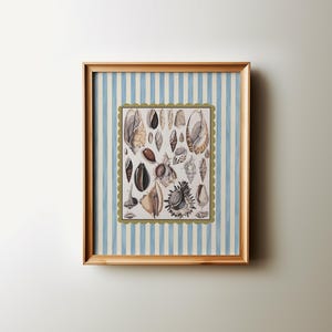 Seashell Wall Art Printable, Blue Striped Coastal Shell Collection, preppy Beach House Bathroom Decor, Digital Download