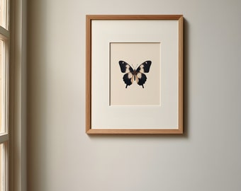 printable Butterfly Neutral  aesthetic wall art, insect Nursery Cottagecore print