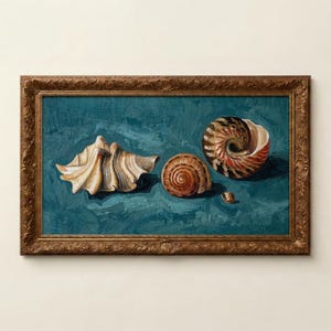 May include: An oil painting of seashells in a decorative gold frame. The painting features a large, cream-colored shell, a brown spiral shell, and a nautilus shell with a brown and white pattern, all set against a teal background.