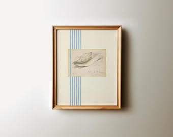 Seashell Wall Art Printable, Coastal Shell Sketch Print, Blue Striped Beach House Decor, Digital Download