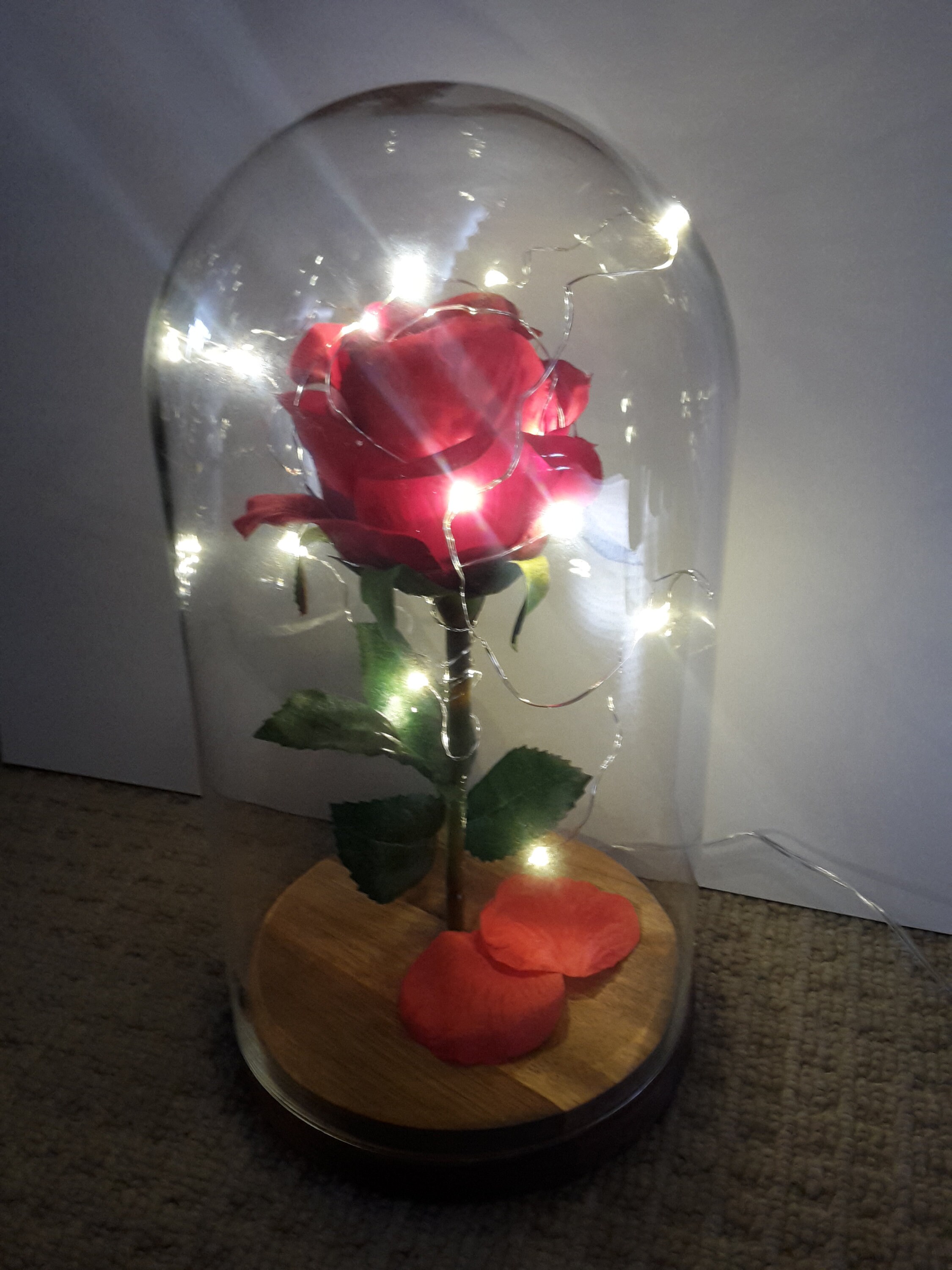 Beauty And The Beast Disney Glass Dome Red Rose Decoration | Etsy