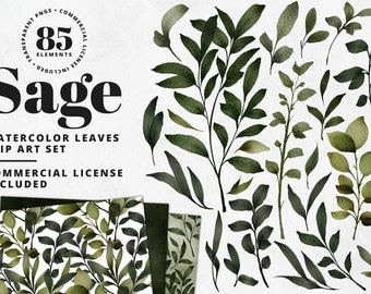 Green Watercolor Leaves Clip Art, botanical leaves Illustrations, wedding clip art,  eucalyptus clip art, wreaths, laurels, branches