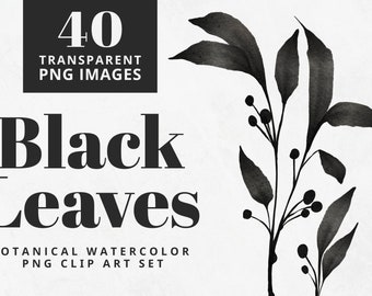Black Watercolor Leaves Clip Art, botanical leaves Illustrations, watercolor floral,  eucalyptus clip art, wreaths, laurels, branches