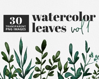 Watercolor Green Leaves Clip Art, botanical leaves Illustrations, watercolor floral,  eucalyptus clip art, wreaths, laurels, branches