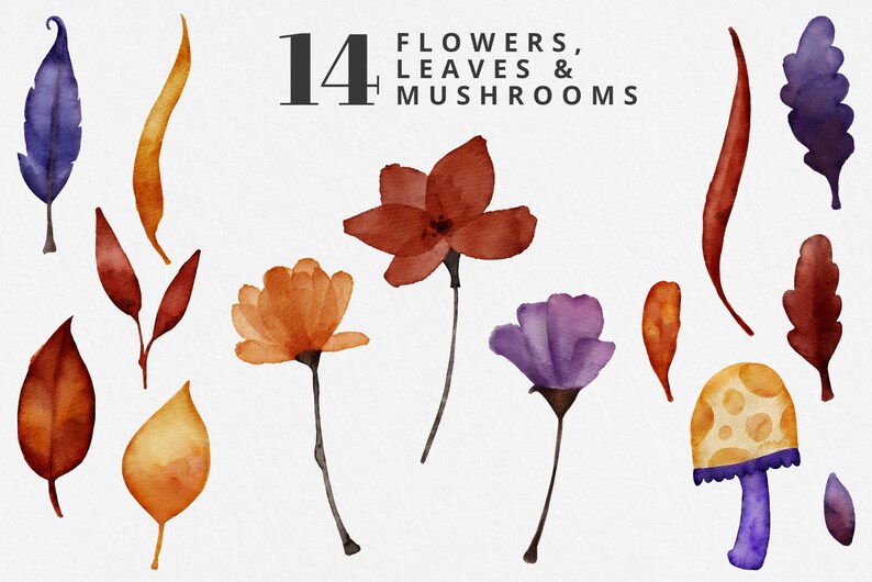 Watercolor Fall Clip Art Set, Autumn Clipart, Watercolor Leaves ...