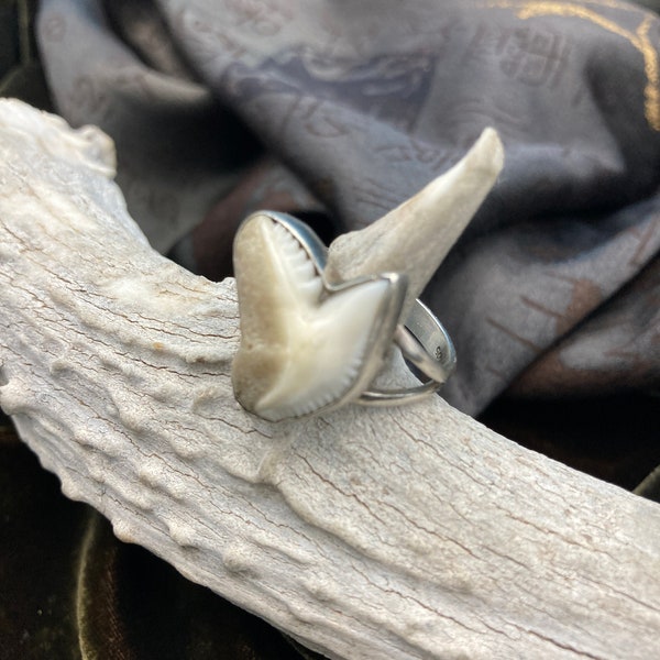 Tiger Shark Tooth and Sterling Silver  Ring Vintage - Custom Made Marked 925 - Size 8 3/4 -Gift Box