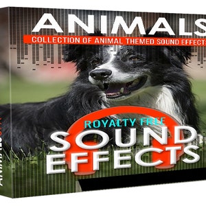 Puede incluir: Caja de producto con un perro Border Collie en blanco y negro. La caja tiene el texto "ANIMALES" en la parte superior, con "COLECCIÓN DE EFECTOS DE SONIDO TEMÁTICOS DE ANIMALES" debajo. También se muestran las palabras "EFECTOS DE SONIDO LIBRES DE DERECHOS".