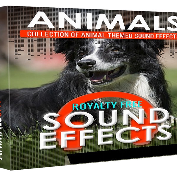 Wild Symphony: A Versatile SFX Pack for Animal Lovers - Enhance Your Projects with Captivating Animal Sound Effects!