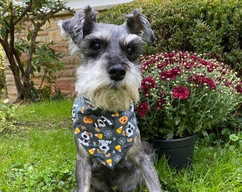 Halloween Dog Bandana, Dog Bandana, Pumpkin Dog Bandana, Dog Bandana, Dog Fall Bandana