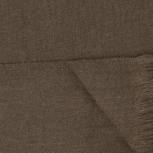 May include: A brown woven scarf with a fringe on the bottom edge.