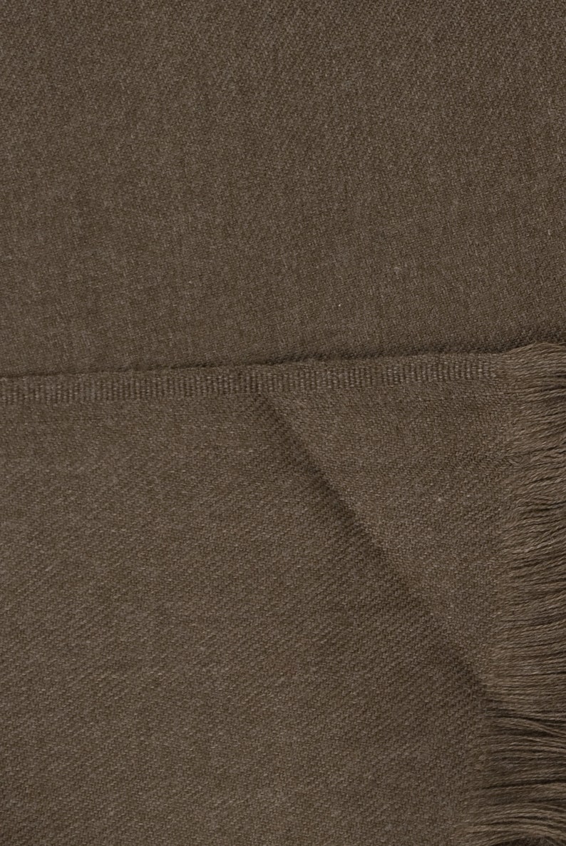 May include: A brown woven scarf with a fringe on the bottom edge.