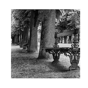 Paris Parkbank Fotografie Druck - Schwarz-Weiße französische Gartenwandkunst, Vintage Parkdekoration, Europa-Reisefotografie
