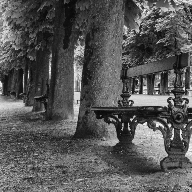 Paris Print Jardin Du Luxembourg Park Bench in Black & White, Paris Decor Travel Photography Prints image 2