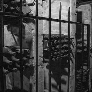 Wine Wall Prints for Kitchen Wall Decor, French Cellar Winery Photography Prints in Black & White or Sepia