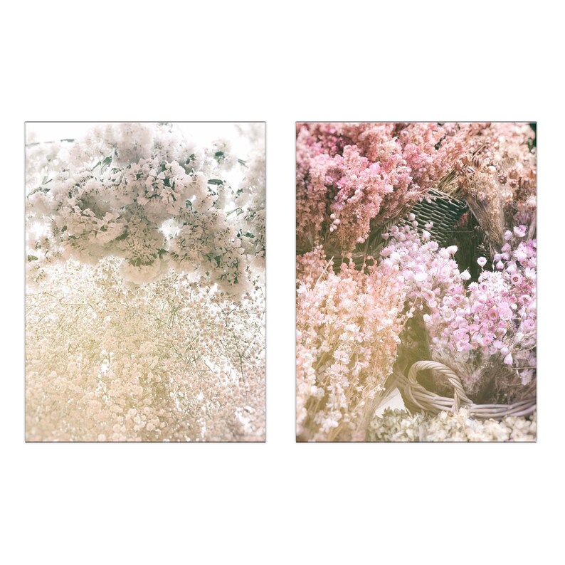 Set Of 2 Romantic Floral Prints For Living Room Art Or Bedroom Decor Flower Photography For Your Gallery Wall Art In Pink Cream And White