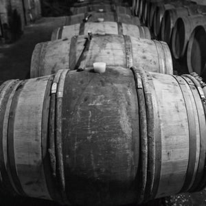 Wine Kitchen Art, Black & White Dining Room Wall Art, Wine Print of Barrels in a Cellar, Wall Art for Kitchen