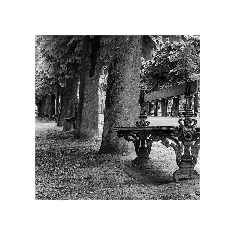 Paris Print Jardin Du Luxembourg Park Bench in Black & White, Paris Decor Travel Photography Prints image 1