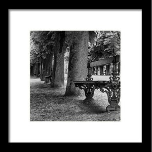 Paris Print Jardin Du Luxembourg Park Bench in Black & White, Paris Decor Travel Photography Prints image 3