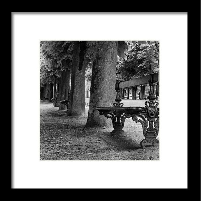 Paris Print Jardin Du Luxembourg Park Bench in Black & White, Paris Decor Travel Photography Prints image 3