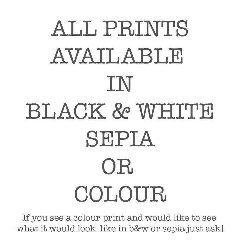 Puede incluir: Gr&aacute;fico de texto que dice "Todas las impresiones disponibles en blanco y negro, sepia o color". El texto est&aacute; en una fuente simple sin serifas. Debajo del texto hay una frase que dice "Si ves una impresi&oacute;n en color y quieres ver c&oacute;mo se ver&iacute;a en blanco y negro o sepia, &iexcl;pregunta!"