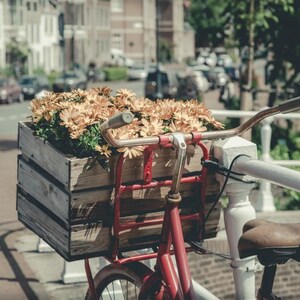 Amsterdam Fine Art Photography - Bicycle Print Travel Photograph, Red & Yellow Wall Art Photo for Living Room Art or Apartment Decor