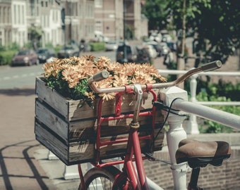 Amsterdam Fine Art Photography - Bicycle Print Travel Photograph, Red & Yellow Wall Art Photo for Living Room Art or Apartment Decor
