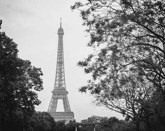 Eiffel Tower Photography Wall Art Print in Black & White,