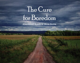 The Cure for Boredom (2022) / signed by the author