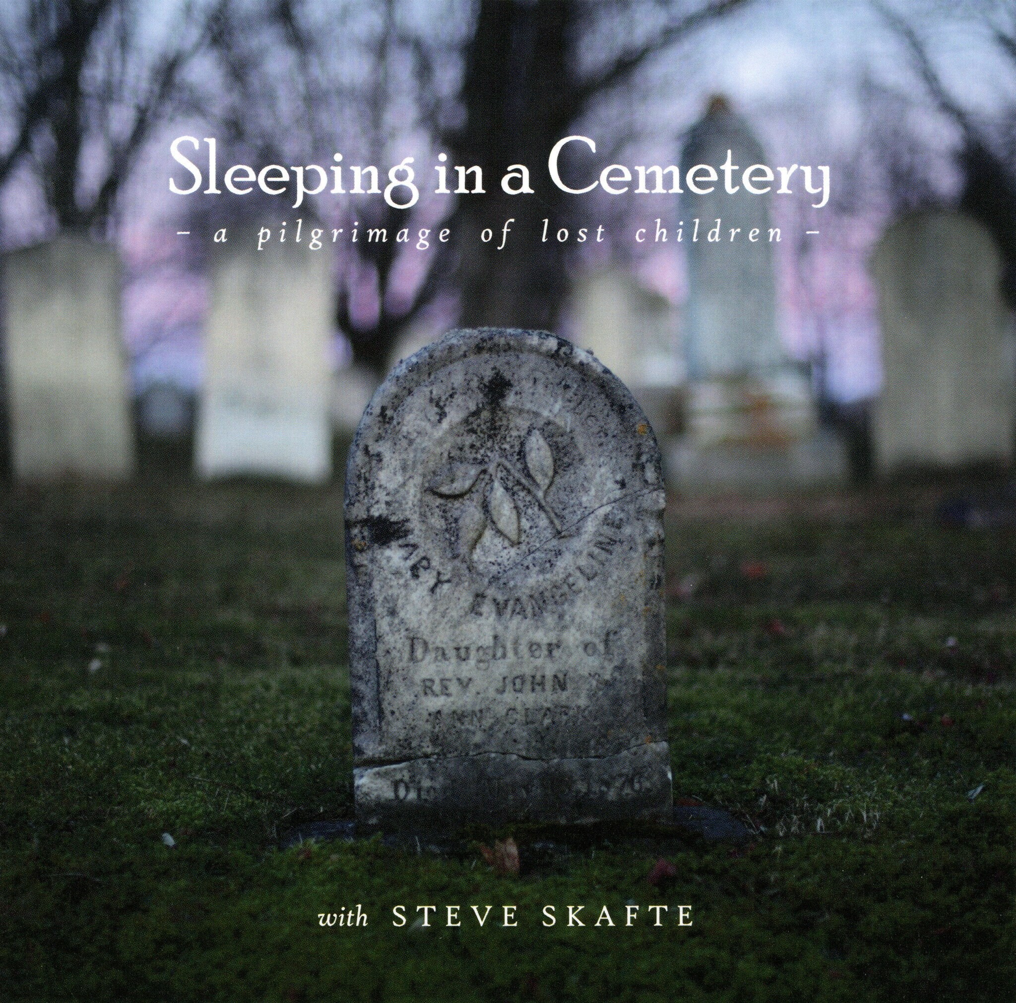 Sleeping in a Cemetery 2021 / Signed by the Author Etsy Canada