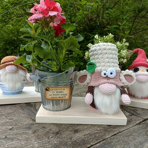 Può includere: Tre gnomi all'uncinetto, ognuno con un cappello e tratti del viso diversi, sono esposti su mensole di legno. Gli gnomi sono seduti davanti a una pianta in vaso con fiori rosa. Lo gnomo al centro indossa un cappello beige con una foglia verde e ha grandi occhi rosa. Lo gnomo a sinistra indossa un cappello marrone e arancione e tiene una canna da pesca. Lo gnomo a destra indossa un cappello rosso e tiene una scopa. Il vaso ha un'etichetta di metallo che dice "La Camicia Di Porca La Posso Avere Hawaiian??"