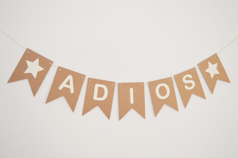 Bon Voyage Banner Farewell bunting Retirement banner leaving party decoration.