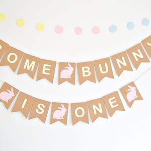 May include: A banner with the text "SOME BUNNY IS ONE" in cream-colored letters on brown pennants. Pink bunny silhouettes are featured. Pastel-colored circles are above the banner, creating a festive, celebratory atmosphere.