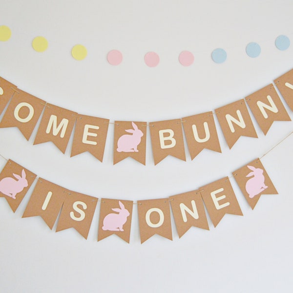 Some Bunny is One, 1st Birthday Bunting, Banner, Rabbit Easter Birthday Decoration Sign, Girls Party, All Ages
