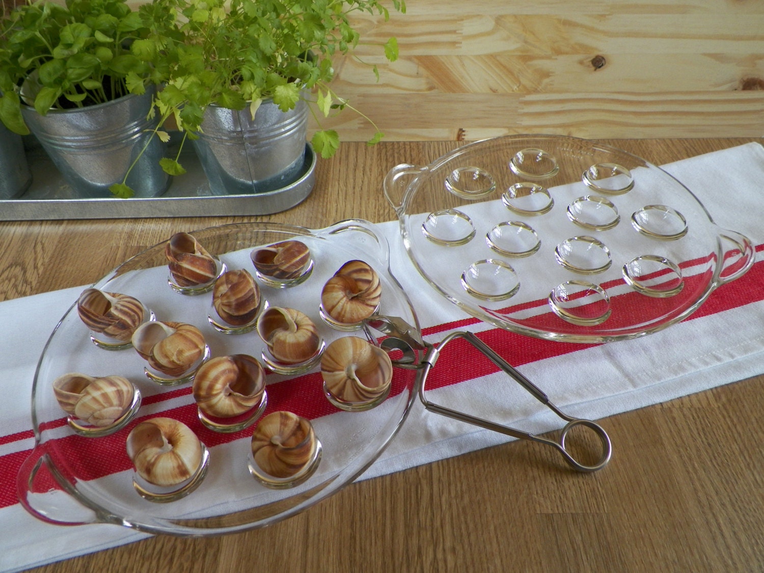 2 Plats Ronds Pour 12 Escargots en Verre Transparent Pyrex avec Poignées | Vintage Francais 1950S