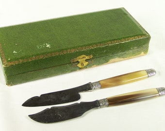 Butter knife and cheese knife pair of knives in a case horn handle  French cutlery vintage 1900