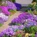 see more listings in the Flowers and Plants section